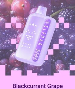 ELFBAR BC 30000 Blackcurrant Grape disposable vape Dubai