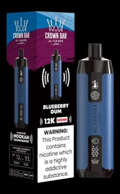 Al Fakher 12000 disposable vape dubai Blueberry Gum