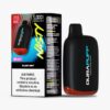 Nasty DuraPuff 5000 disposable vape Black Mint