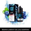 Nasty Smooth Series vape distributor Blueberry